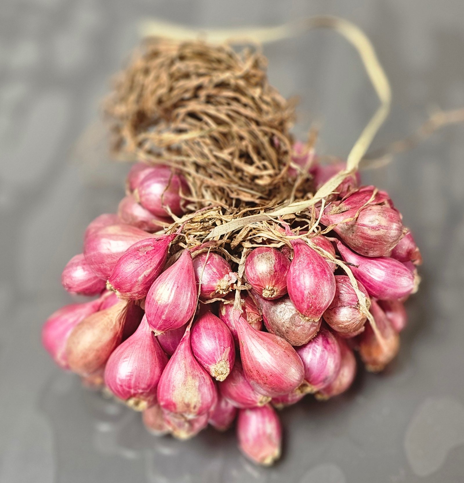 Madras Onion / Indian Shallots