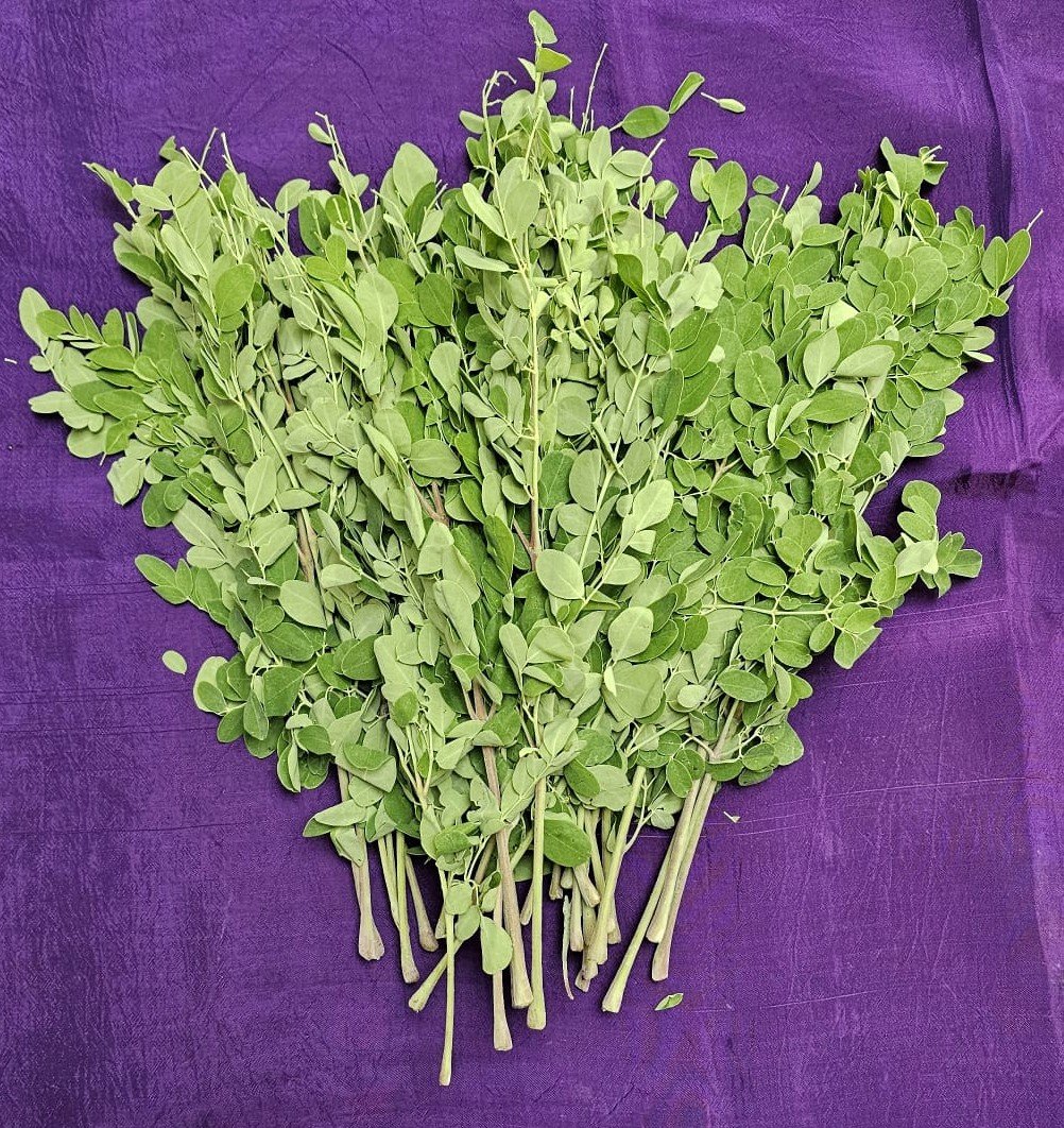 Drumstick / Moringa leaves